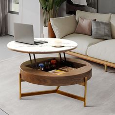 a coffee table with a laptop on it in front of a white couch and large potted plant