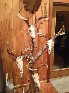 an animal skull tree is displayed in front of a wooden paneled wall with deer heads on it