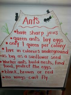 a sign that is on the wall in front of a door saying ants have sharp jawss and queen ants lay eggs