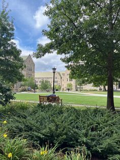 a park bench sitting in the middle of a lush green field next to a tall building