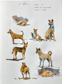 an image of dogs in different poses on a white paper sheet with watercolor and ink