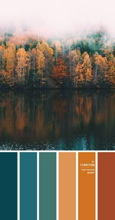 the color palette is different shades of orange, blue and green with trees in the background