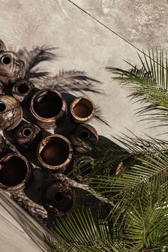 many vases are arranged on the floor next to palm trees