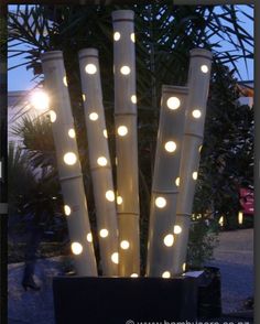 some lights that are sitting in a planter