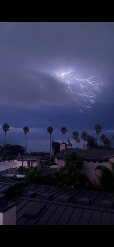 a lightning bolt is seen over the city at night, with palm trees in the foreground