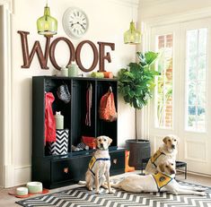 two dogs sitting in front of a black cabinet