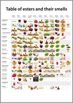 a poster with different fruits and vegetables on it's sides, all labeled in english