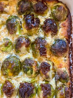 a square casserole dish filled with brussel sprouts and cheese