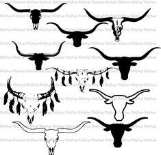 an image of longhorn skulls and steer heads