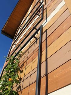 the side of a building with a plant growing on it's side and metal railing