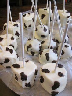 chocolate covered marshmallows are arranged on a platter with toothpicks