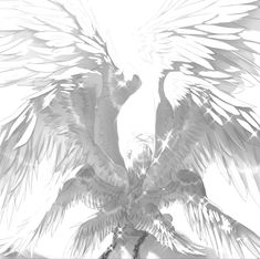 an artistic black and white drawing of a large bird with wings spread over it's head