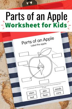 an apple worksheet for kids with the words parts of an apple on it