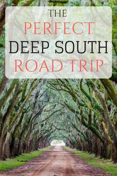 the perfect deep south road trip with text overlay that reads,'the perfect deep south road trip '