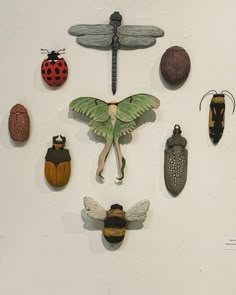 a group of insects mounted to the side of a white wall next to each other