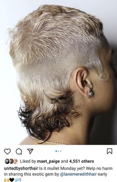 Hair Nonbinary, Wella Hair, Pelo Afro, Edgy Short Hair, Haircut Inspiration, Punk Hair, Hair Brained