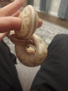 a person holding a small snake in their hand while sitting on the floor next to him