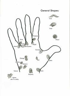 a hand with several different shapes and sizes