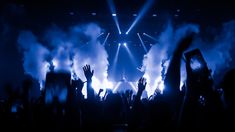 a crowd of people at a concert with their hands in the air and lights on