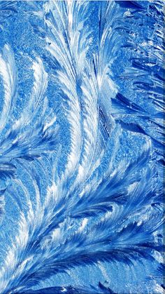 blue and white feathers are shown in this image