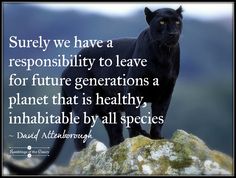 a black panther standing on top of a rock with the caption surely we have a reponsibity to leave for future generations a planet that is healthy, innhabable by all species