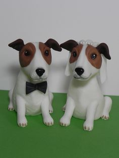 two small white and brown dogs sitting next to each other on a green table top