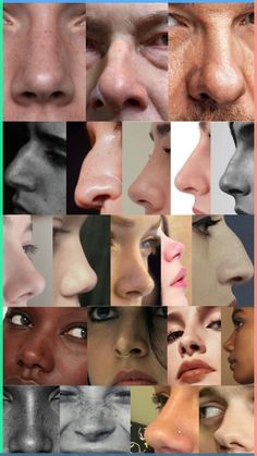 a collage of different types of nose shapes