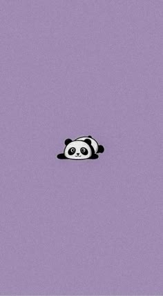 a panda bear sitting in the middle of a purple wall with black and white dots on it