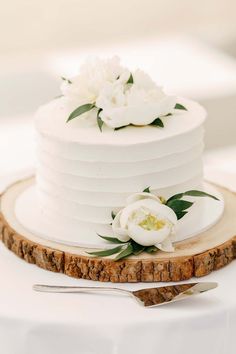 single tier white buttercream wedding cake on a rustic tree slice cake stand Simple Cake Table Wedding, Single Teir Cakes Wedding, Wedding Cake Single Layer, Simple One Tier Wedding Cake, Plain White Wedding Cake, Wedding Cake Single Tier