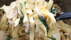 a spoon full of pasta with chicken and spinach