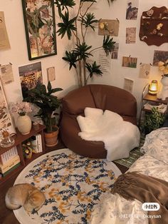 a living room filled with furniture and lots of plants