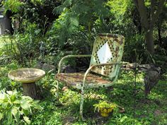 an old chair and table sitting in the middle of a forest filled with green plants