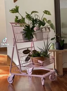 a pink shopping cart filled with potted plants on top of a hard wood floor