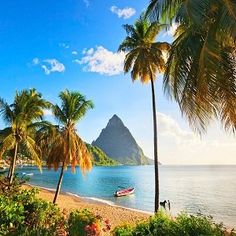 a beach with palm trees and boats on the water in front of some mountain peaks