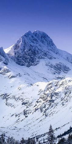 snow covered mountains with trees in the foreground