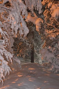 Copied from @zhannanord Winter Scenery Beautiful, Winter Vibes Aesthetic Wallpaper, Weihnachten Aesthetic, Aesthetic Winter Wallpaper, Snowy Aesthetic, Winter Aesthetics, I Love Snow, Winter Inspo, I Love Winter