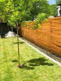 a wooden fence next to a small tree in a yard with grass and trees around it