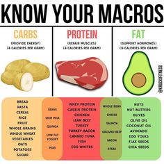 Protein Fats Carbs List, Foods With Carbs And Protein, Carbs Fats And Protein, Fats And Proteins, How Much Carbs Should I Eat A Day, Macro Carbs, Good Fats To Eat, Healthy Carbs List, High Carb Meals