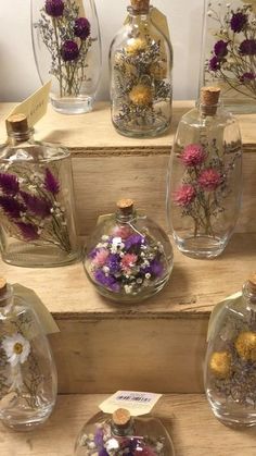 several glass bottles with dried flowers in them