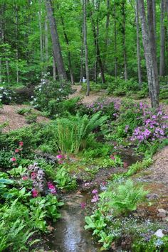 a stream running through a forest filled with lots of trees and flowers on the ground