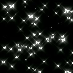 many white butterflies are flying in the dark night sky with light shining through them, creating an abstract pattern