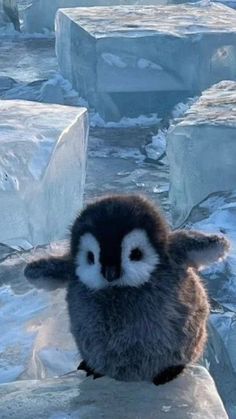 a small penguin sitting on top of ice blocks