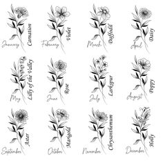 six different flowers with the names of each flower and their name in black ink on a white background