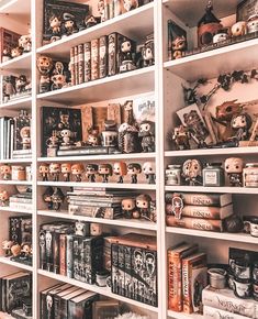 the shelves are filled with many different types of toys and books on them, including dolls