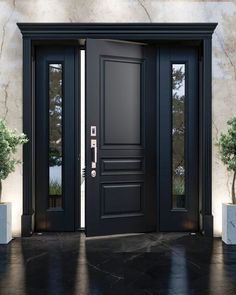 a black door with two planters on either side