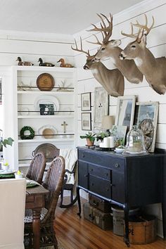 two deer heads hang above a dining room table with chairs and an old dresser in the foreground