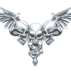 a skull with wings and skulls on it's head is shown in this image