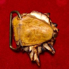 "This vintage belt buckle is a really beautiful example of American craftsmanship. It was made around the 1970's in Hotchkiss, Colorado. The person who made it hand wrote \" Mountain High\" and \"Hotchkiss, Colo.\". It is made of a piece of the base of a deer antler, hand polished with a beautiful cabochon of blue green turquoise epoxied into the top. My guess is that it is a great piece of Carico Lake or Lone Mountain turquoise from Nevada. The back has a brass swiveling belt attachment and is Vintage Engraved Belt Buckles Collectible, Vintage Engraved Belt Buckles For Collectors, Vintage Engraved Brown Belt Buckles, Vintage Brown Engraved Belt Buckles, Vintage Brass Buckle Belt Buckles Collectible, Artisan Brown Belt Buckles As Gift, Handmade Western Belt Buckles As Gift, Handmade Western Belt Buckles For Gift, Vintage Brass Buckle Belt Buckles As Gift