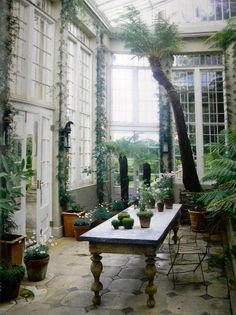 a table surrounded by potted plants in a room