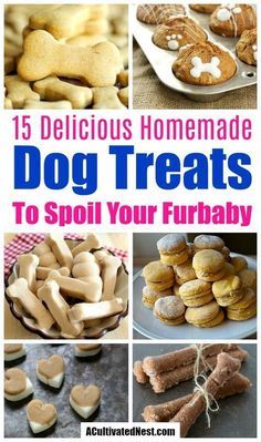 the cover of 15 delicious homemade dog treats to spoil your furbaby